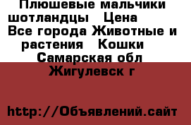 Плюшевые мальчики шотландцы › Цена ­ 500 - Все города Животные и растения » Кошки   . Самарская обл.,Жигулевск г.